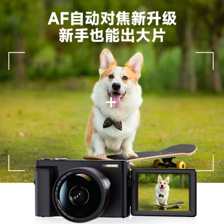 Caizu CAIZU student entry-level micro-single camera can beautify the face and take high-definition selfies 48 million pixel retro digital camera travel can record VLOG camera silver standard + wide-angle lens [8 special gifts] 64G memory card