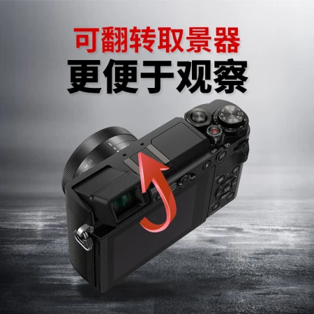 Panasonic GX9 Mirrorless Single/Single Battery/Mirrorless Digital Camera 4K HD Recording, Retro Rangefinder, 5-Axis Image Stabilization Student Camera [Standard Dual Lens] 12-32mm+25mm Dual Lens Black Set