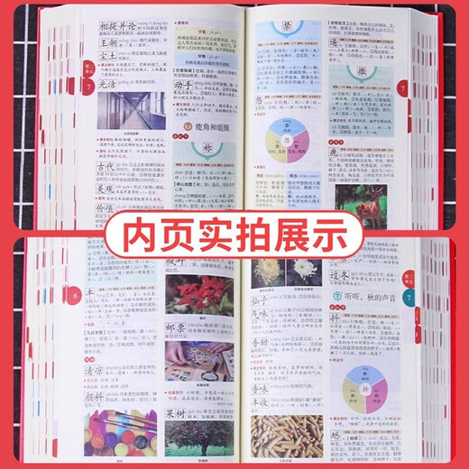 字词句手册第3版+小学数学公式定律手册全2册小学通用词语字典 统编版语文字典小学生字词句手册