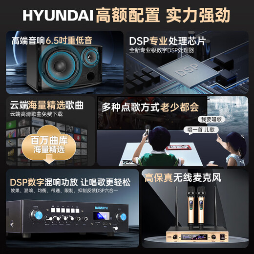 HYUNDAI现代家庭影院点歌机KTV音响套装大功率功放卡拉ok家用点唱k歌设备客厅会议室卡包音箱 【经典版】家庭KTV【升级金属话筒】