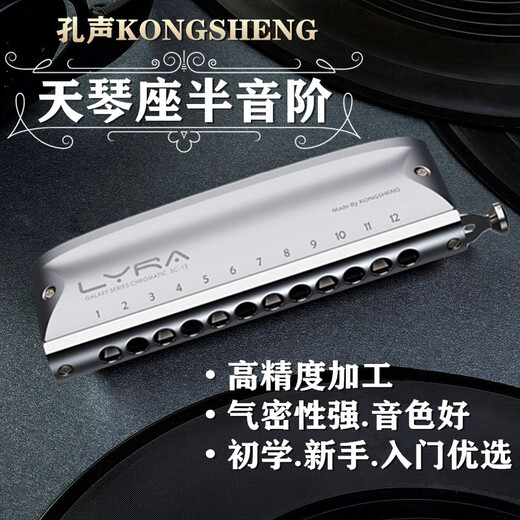 孔声天琴座半音阶口琴12孔金属琴格初学入门练习新手成人专业演奏乐器 12孔 48音半音阶C调天琴座【银色】全金属琴格