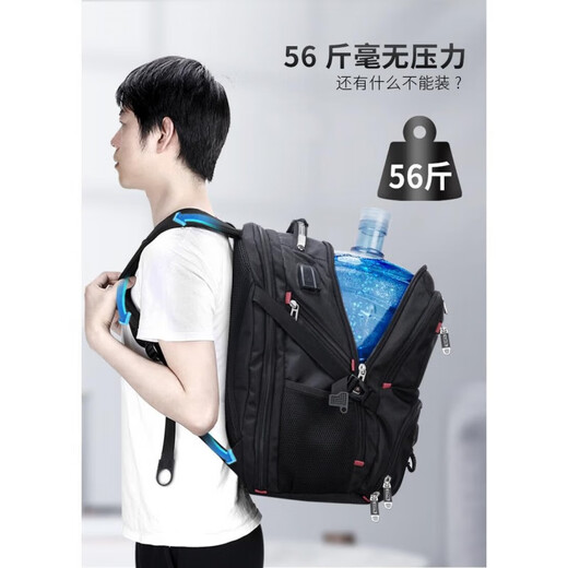 SWICKY瑞士双肩包大容量背包2024新款男士旅行出差通勤电脑包书包 小号15寸 黑色