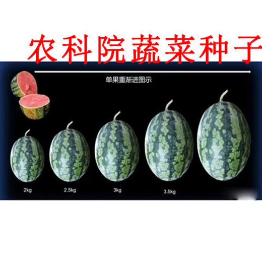 Sweet 4K Watermelon Seeds Spring and Autumn Sowing Station Divine Watermelon Seeds Thin Skin Dry Juice High Sweetness Low Temperature and Low Light Resistance 600 capsules/bag