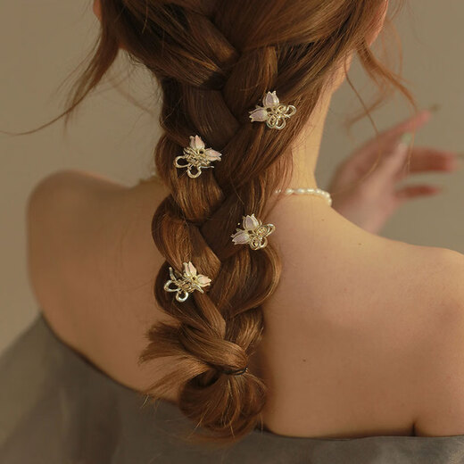 Xiang Wan hair clips 2 exquisite tulip small grab clips women's hair accessories small super fairy princess hair clip women's side bangs clip