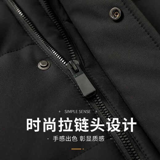 Flying in the Snow Goose Down Down Jacket Men's Removable Hat Casual Business Autumn and Winter Thickened Short Jacket Men's 185