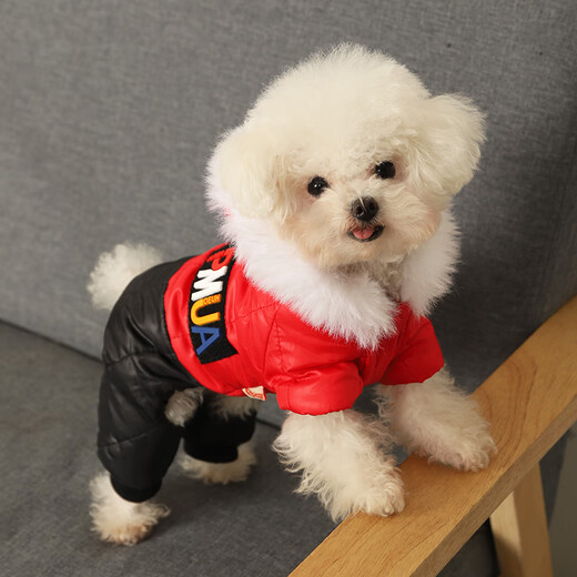 Huayuan pet equipment (hoopet) dog clothes autumn and winter anti-hair pet Teddy Schnauzer dog autumn and winter clothes puppy Bichon bear warm four-leg cotton clothing casual splicing cotton coat red XS back length 21.cm recommended 1-3 Jin [Jin equals 0.5 kg]