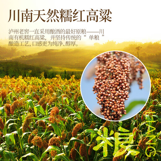 
Luzhou Laojiao 30 years old strong fragrance liquor 52-degree 500ml 6 bottles Whole box (including gift bag)