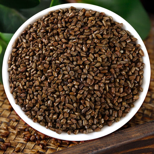 参庆堂 决明子500g 菊花枸杞决明子养生茶大粒花草茶药食同源礼品