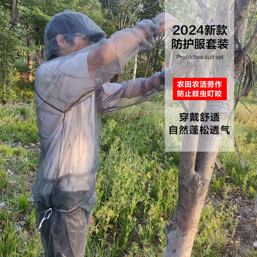 Baichao 2024 new upgraded anti-mosquito clothing full set, fluffy, breathable and not stuffy for fishing, outdoor anti-mosquito and insect-proof pants, foot protection L, height 155-175, weight 45-75