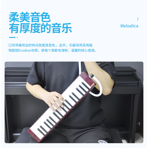 Yamaha Organ Kinder für Erwachsene Unterhaltung unterrichten Musikspielzeug Studenten Anfänger tragbares Zuhause Aufklärung Musikinstrument P-37d Rot
