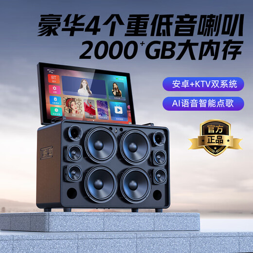 Shanshui C10 Amplifier Audio All-in-One 2025 New Home KTV Lautsprecher Set Outdoor Audio Karaoke Special Karaoke Equipment High Power Square Dance Audio mit Display Shanshui C10 Flaggschiffversion