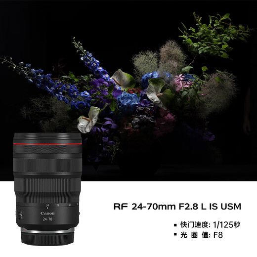 Canon r5 professional mirrorless camera, bird shooting equipment, digital camera, eos r5 full frame Vlog camera, 8K video shooting, place an order for Labubu & Jindou R5 disassembled body + RF24-70 F2.8 lens, package 4, order package 4, free upgrade package 5, accessories upgrade at no additional price