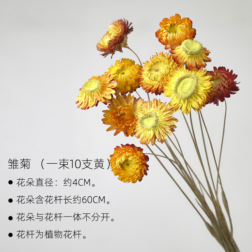 Aesthetic hacker mini daisies indoor small dried flowers real flowers dried flower bouquet decoration living room dining table bedroom natural mix and match combination 10 daisy yellow