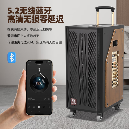MALONE outdoor karaoke audio high-power heavy bass square dance singing with live sound card wireless microphone Bluetooth portable trolley speaker GT-510 audio + 1 microphone 1 headset + gift flagship version