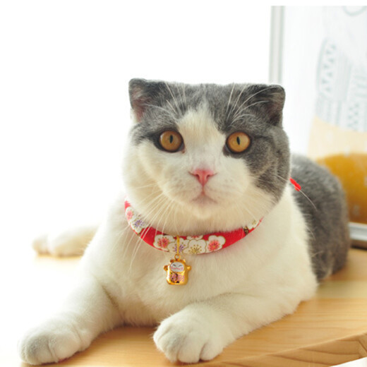 Pilot Cat Collar Cat Bell Cat Teddy Puppy Collar Bell Ring Neck Ring Red Flower S