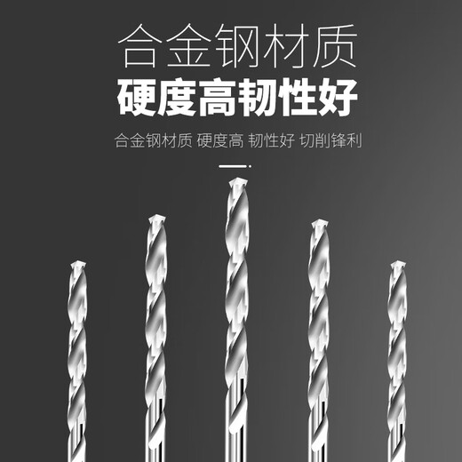 E.F.VSLONBAIMUGE straight handle small head 0.50.61.01.11.21.52.02.2mm twist drilling fine Wenwan drill bit 3.2mm 10 pieces