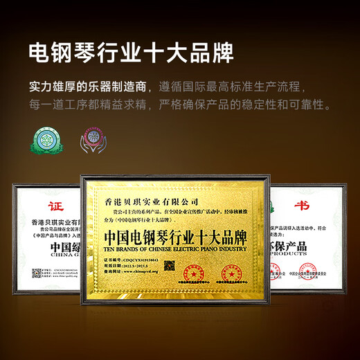 贝琪（Betsy）电钢琴重锤88键级成人初学立式电子钢琴B391烤漆黑-实木键盘+琴凳
