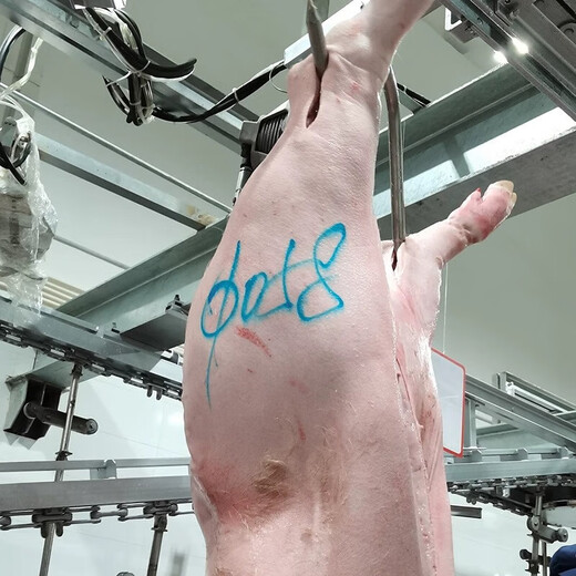 辉柏嘉698猪肉类记号笔防水防油猪用蓝色水溶彩铅笔牛羊猪肉标记笔 肉类标记笔【12支装】