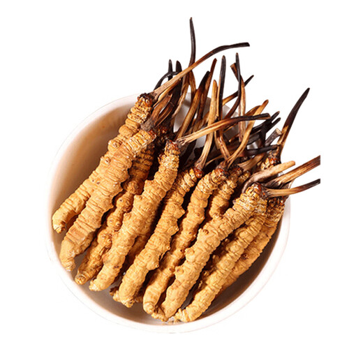 
QOMO Tibet Nagqu Cordyceps sinensis High-altitude Dried Cordyceps Wild Cordyceps Natural Growth Nagqu Cordyceps Gift Box Gift Box Gift Box Gift Box 3-4 Rods/g 10g (35-40 Rods)