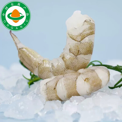 Taihuhai organic shrimp, salt field prawns, Bohai sea seafood, pregnant women, infants and children food supplements, shrimps, Spring Festival gift box, organic shrimps 1 box* 500g (net weight)