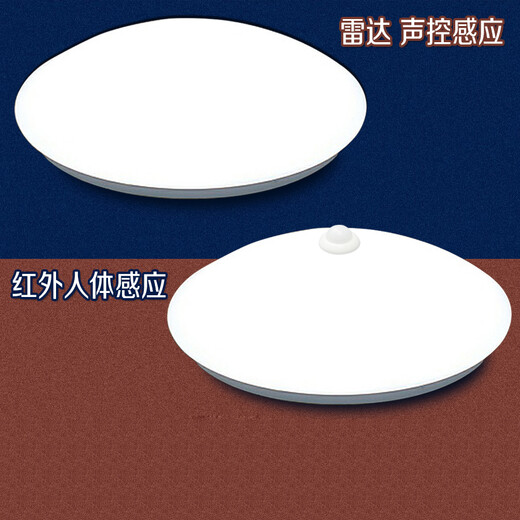 雷雷智光 LED雷达自动感应声光控吸顶灯家用过道楼道玄关车库用 人体感应灯 白色 21CM12w人体感应