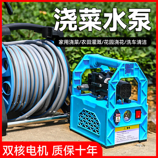 浇菜神器浇水机自动浇地抽水机农用灌溉锂电新型菜地充电式抽水泵 加长续航698AF锂电双核泵+40米