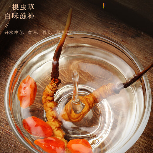 Fudonghai Cordyceps sinensis 20G Caja de regalo 3-4 Piezas/G Caja de regalo La hierba entera sin romper el césped puede ser empapado en polvo en el vino tónico