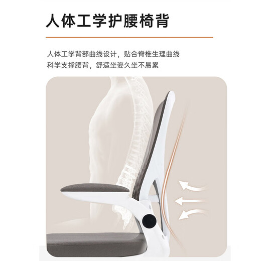 舒客艺家人体工学椅子电脑椅升降办公椅学生儿童学习椅久坐舒服靠背椅家用 983四腿学习椅-白黑+乳胶