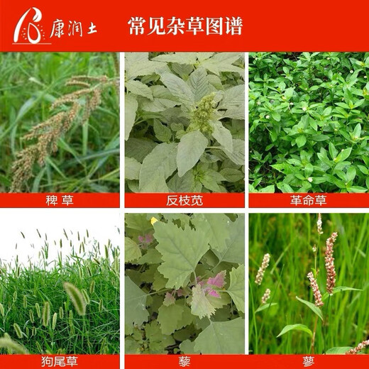 Xin'an Nongwang 757 Glifosato de sal de amonio 68% de hierba Herbicida de hierba Glyphosato Xin'an Nongwang 50g*50 bolsas