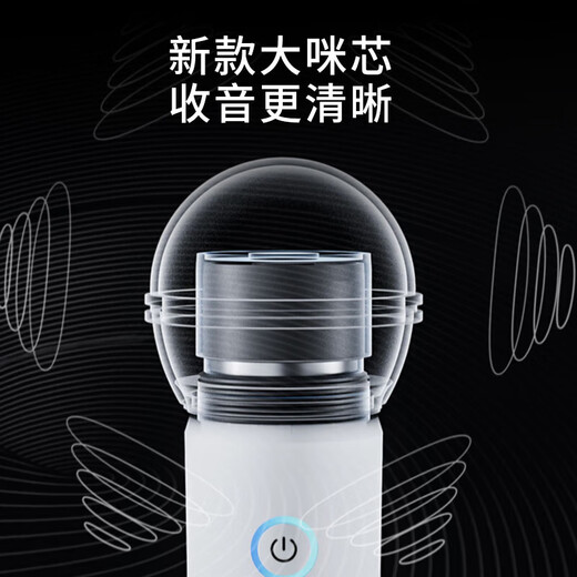 Sony Ericsson (soaiy) portable mobile sound card karaoke speaker audio all-in-one set live broadcast equipment mobile phone computer external recording TikTok outdoor singing microphone microphone gift SG20