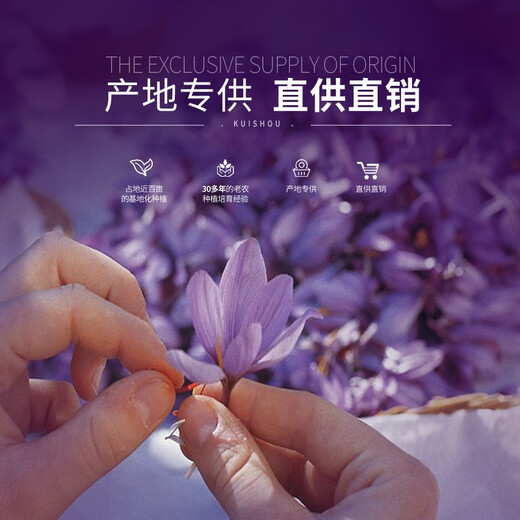 Zhenpin Island Zhenpdo [Blumen kaufen und die Bälle holen] Shanghai Chongming Specialty Safran, echter Safran, exklusive Stufe 10g