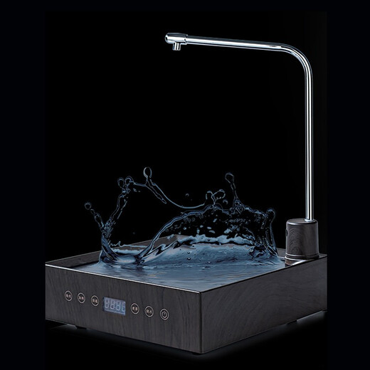 Rongshantang électrique en céramique théâtre théière en eau automatique alimentation intelligente petit poêle à thé