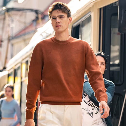 Mr. Stoff Silhouette-Pflanzenmuster Jacquard Design Langarmer Pullover 2025 Frühling und Herbst warme hautfreundliche Strickjacke Pt15601 Sattel Brown 2xl (185)