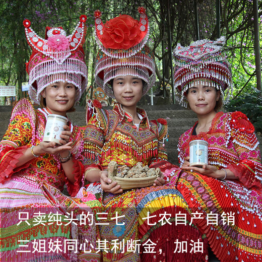 Quanyan Yunnan Wenshan Sanqi Keine Ausschnitt authentische Quelle 18 Köpfe 20 Köpfe 30 Köpfe Tianqi Pulver 500 g 20 Köpfe 20 Köpfe 20 Köpfe ohne Ausschnitt [500] g