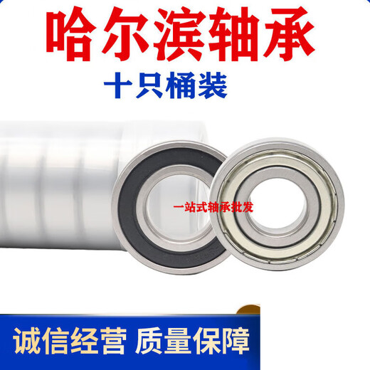 Harbin Bearing Encyclopedia 62006201620262036204620562066 6207-RS Rubber Cover Seal Ten Pack Others