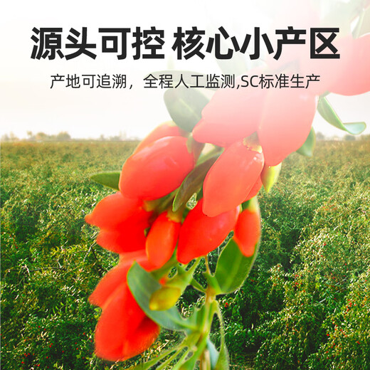 杞里香尝萃红枸杞原浆礼盒1.8L（30ml*60袋）宁夏红枸杞水原汁液NFC礼品