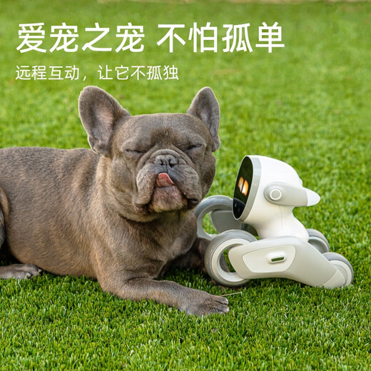 可立宝Loona机器狗 AI具身智能机器人 编程学习机器人 CES创新奖语言切换互动早教玩具 儿童礼物套装