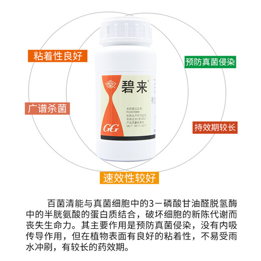 Guoguang Bilai 40% хлороталонил для цветов и овощей, растения, ложная плесень, пятнистость листьев, сибирская язва, мучнистая роса, пестицид, фунгицид, 200 г