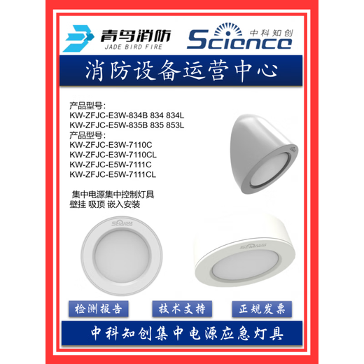 青鸟消防中科知创应急灯疏散标志集中电源箱地埋灯单向 3W 嵌入 安装应急灯  834/834B/711