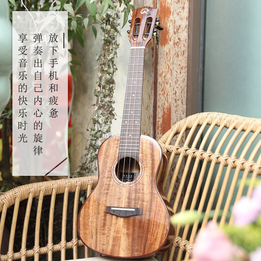 
Realsun ukulele Acacia Wood Full Vancouver AC/T200 Uklili Little Guitar Beginner Adult Singing 23-inch Acoustic Version AC200 Full Single Piano Box