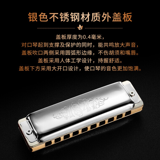 SEYDEL德国进口SEYDEL赛德 十孔10蓝调成人口琴 1847 CLASSIC 10孔G调