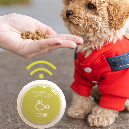 Dog button talking dog toy pet communication button sound ringing voice toy recording boredom relief tool training conversation I love you + go out to play + eat + want 4 Dog button talking dog toy pet communication button sound ringing voice toy recording boredom relief tool training conversation I love you + go out to play + eat + want 4