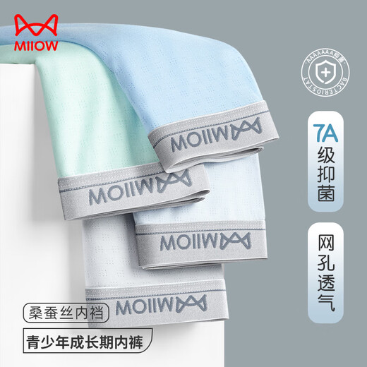 Catman youth underwear for children, middle and high school students, summer ice silk mesh development period 10A antibacterial crotch boxer briefs, ice silk mesh + 10A silk antibacterial, 4 pieces 165 (M) Recommended weight 70-90Jin Jin is equal to 0.5 kg