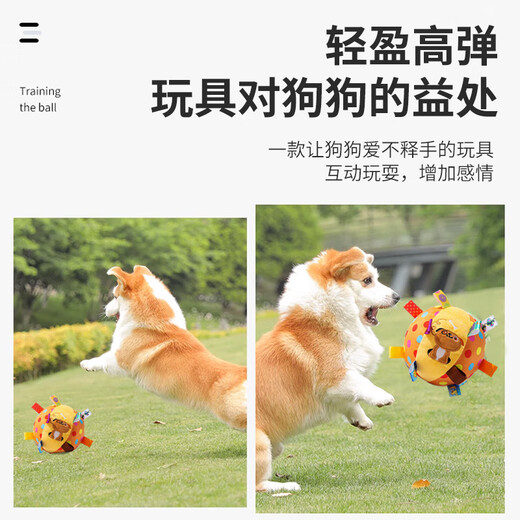 Cute Star Pet Dog Toy Sound Ball Pet Plush Bell Ball Interactive Training Supplies