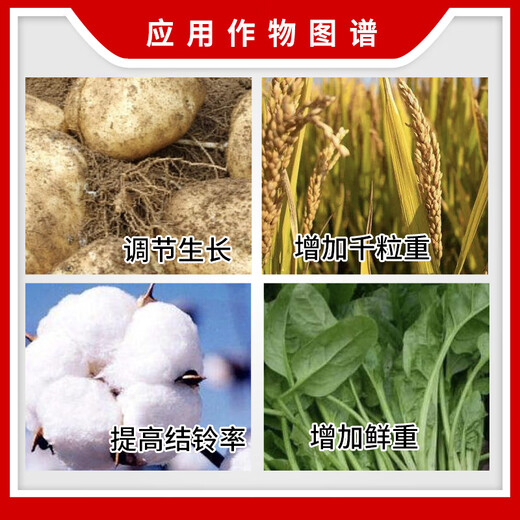Yue Lian Shanghai Yue Lian 75% gibberellic acid gibberellin 920 growth regulator Miao Qi seed production early flowering seedless 1g*10 bags
