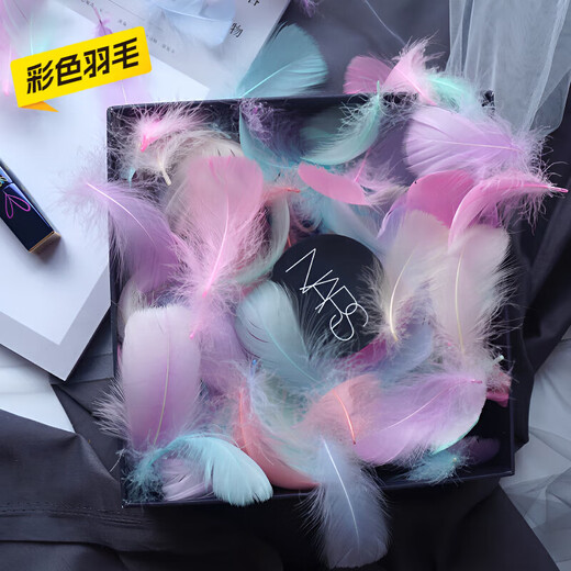 Haofanjie Feather White Decoration Props Ornaments Children's Handmade DIY Material Colorful Feather Pointed Down Down Imitation Goose Feather Small Floats About 4-8cm Long 100 Pieces