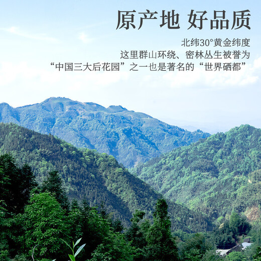 Xiangfeng berry tea mold tea Zhangjiajie high mountain wild berry tea selenium-rich dragon whisker Xiangxi wild berry tea (free trial) berry tea