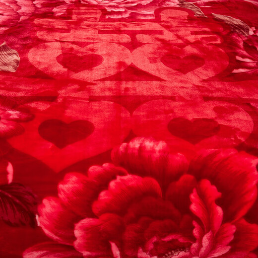 Red Dragonfly Wedding Rasher Blanket Свадебное одеяло Большое красное красное двойное утолщенное покрытие одеяло теплое флисовое одеяло CC-655 Rasher Blanket-Big Double счастье 180*220 см [около 6JIN [JIN равно 0,5 кг]]]