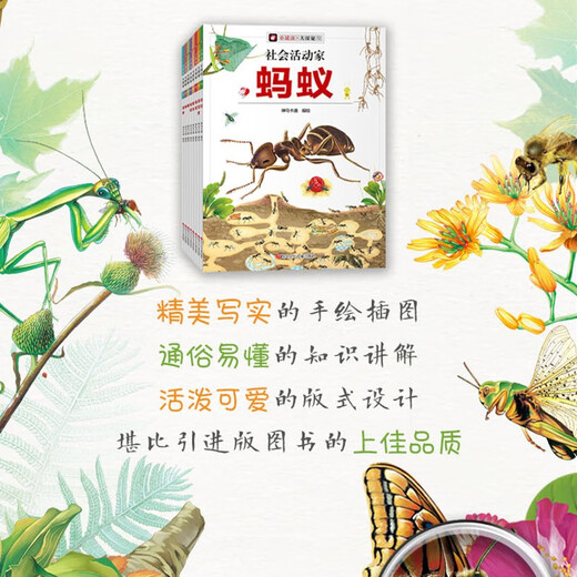 小昆虫大探秘（全套8册）彩图版 中小学生课外科普百科自然动物绘本1348****神马卡通四川少年儿童出版社