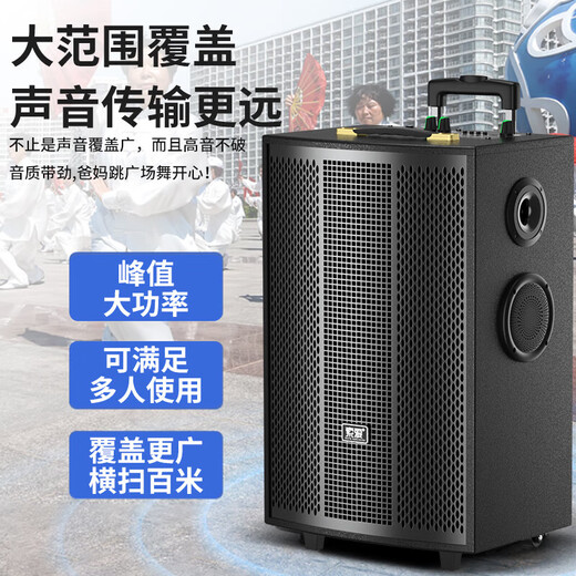 Sony Ericsson (soaiy) 8-inch square dance audio wooden high-power portable outdoor heavy bass Bluetooth karaoke special high-volume mobile trolley speaker outdoor performance dual microphone SA-X72
